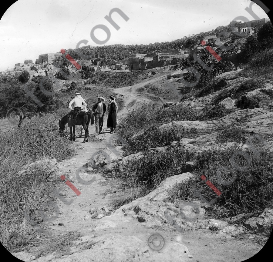 Hirten in Palästina | Shepherds in Palestine - Foto foticon-simon-heiligesland-54-064-sw.jpg | foticon.de - Bilddatenbank für Motive aus Geschichte und Kultur